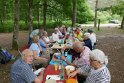 2018-05-24 14-06-06  Rando Fontainebleau DLe